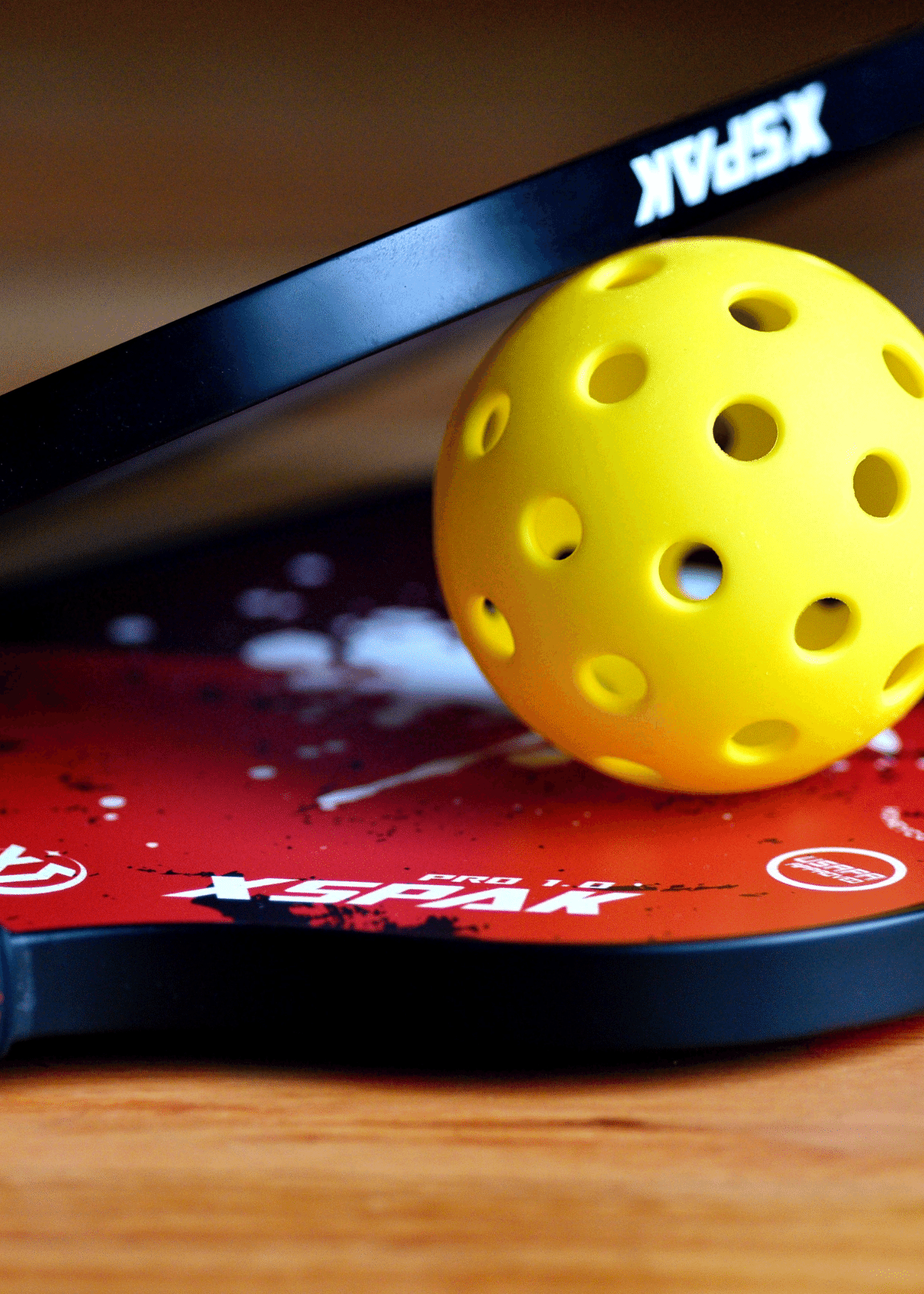The 4 Best Pickleball Paddles for Beginners to Rule Court