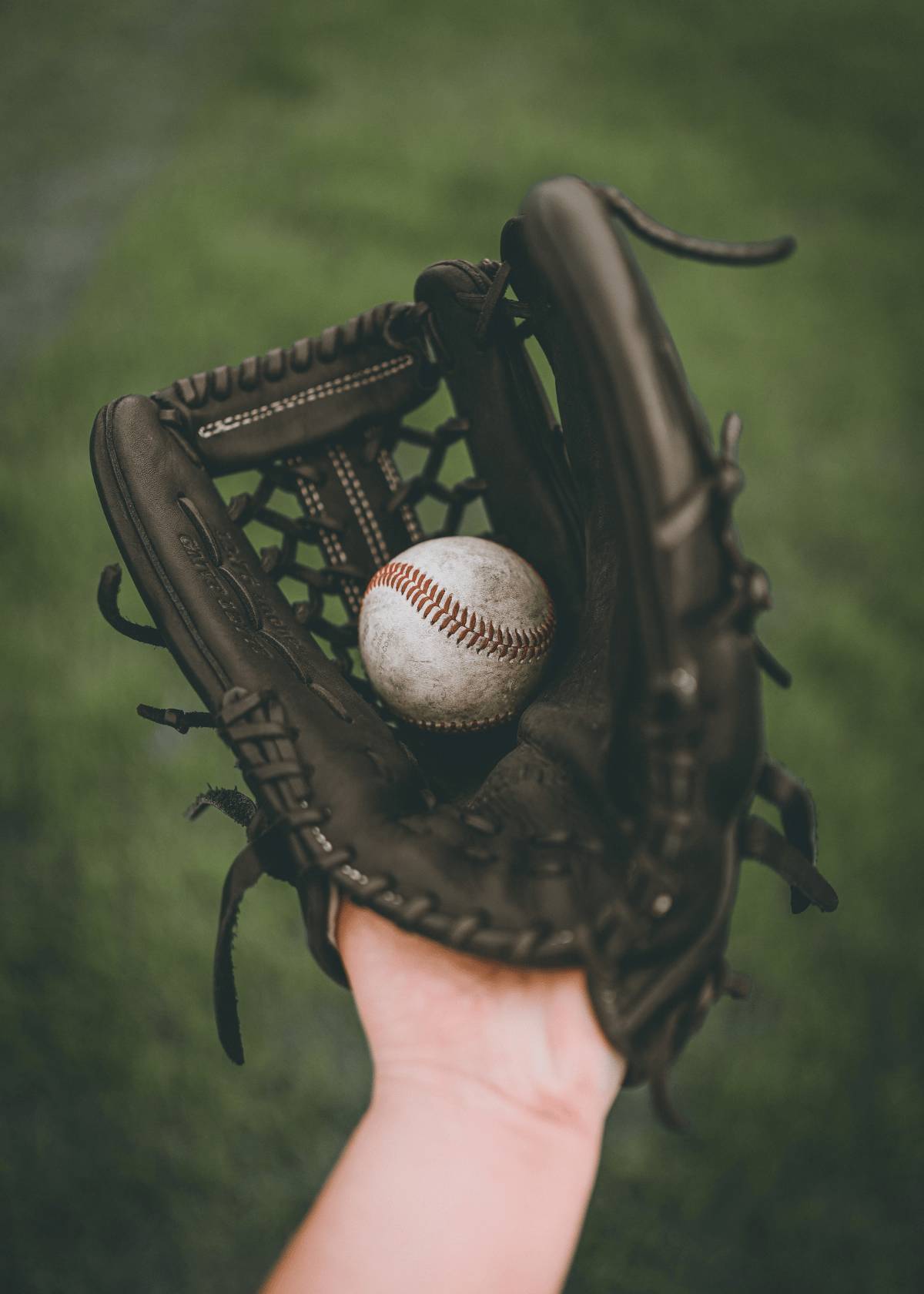 Baseball glove conditioner