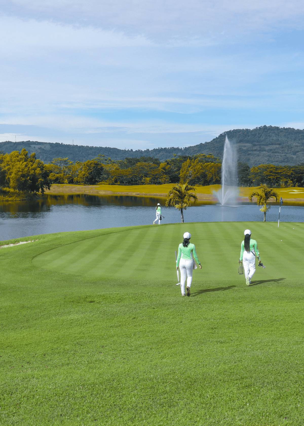 Golf ball retrievers