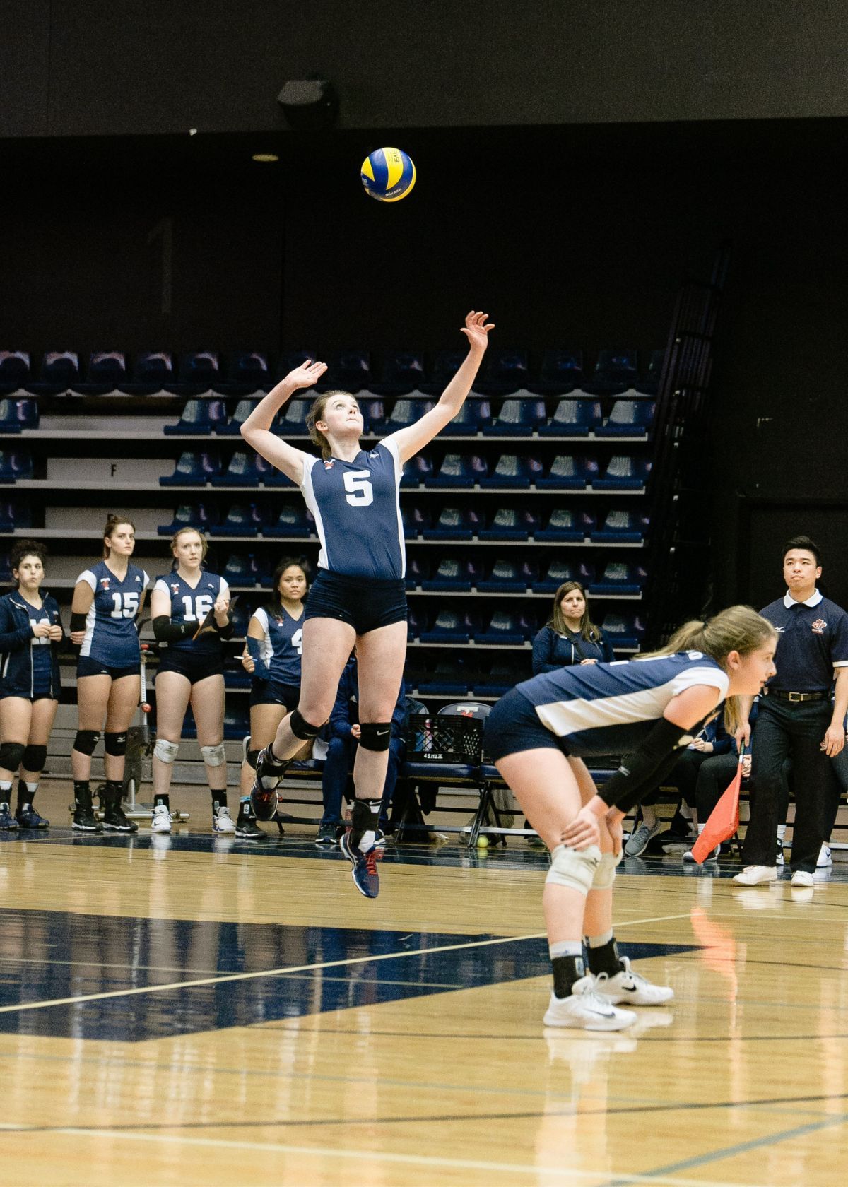 Volleyball ankle braces