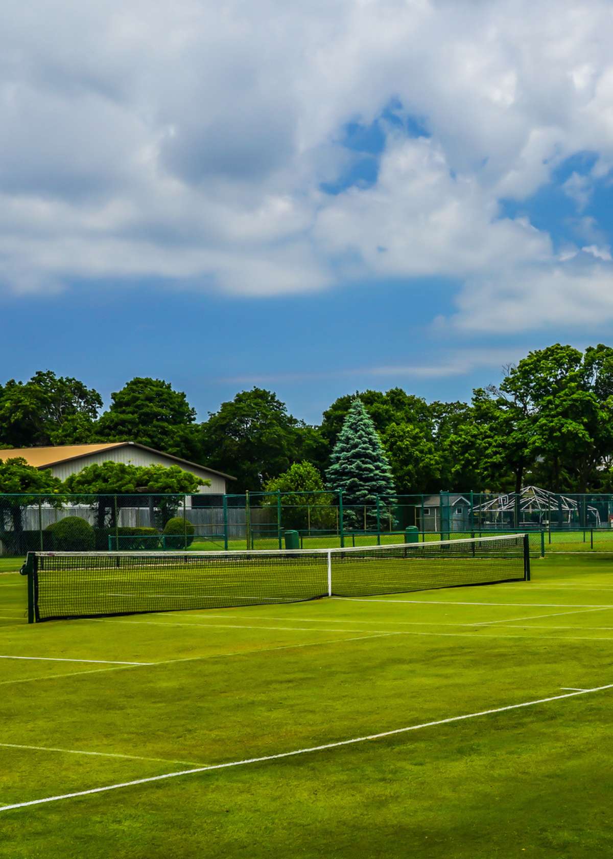 Pickleball on grass