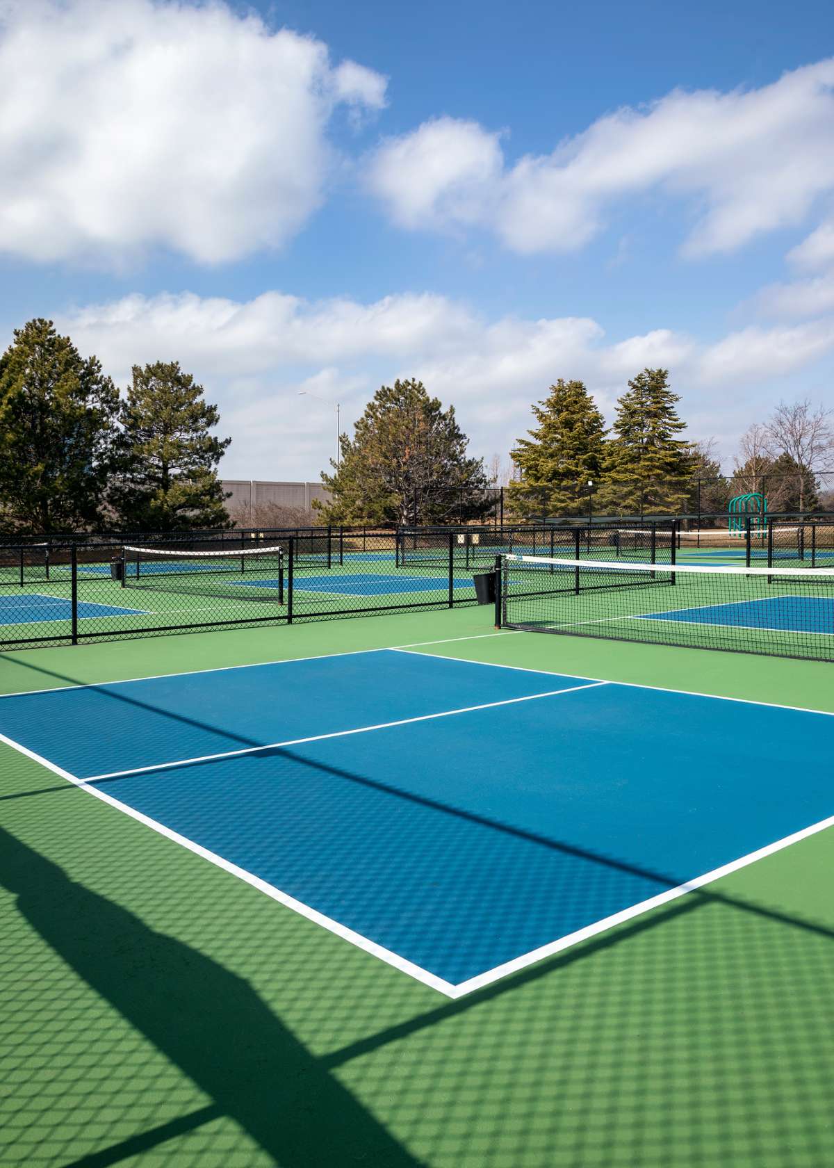 Pickleball training