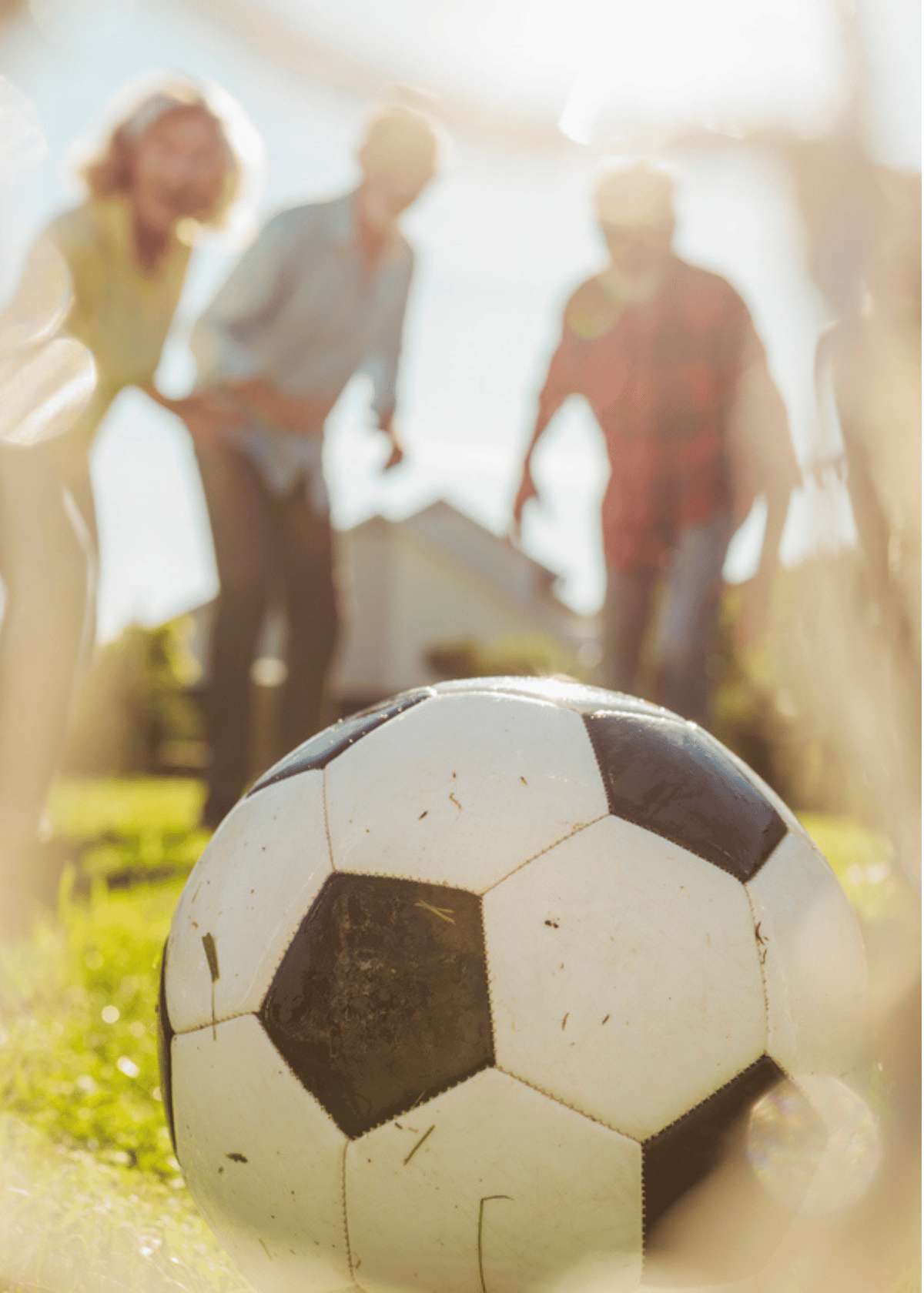 Soccer goal for backyard